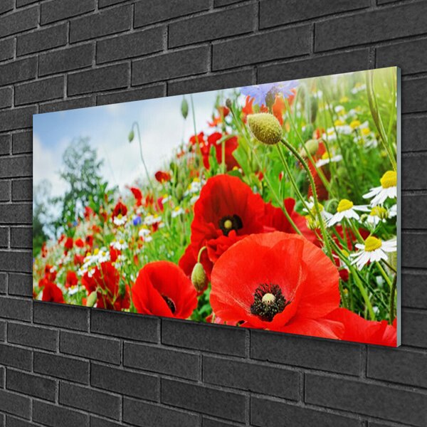 Quadro vetro Fiori Natura 100x50 cm 2 appendini