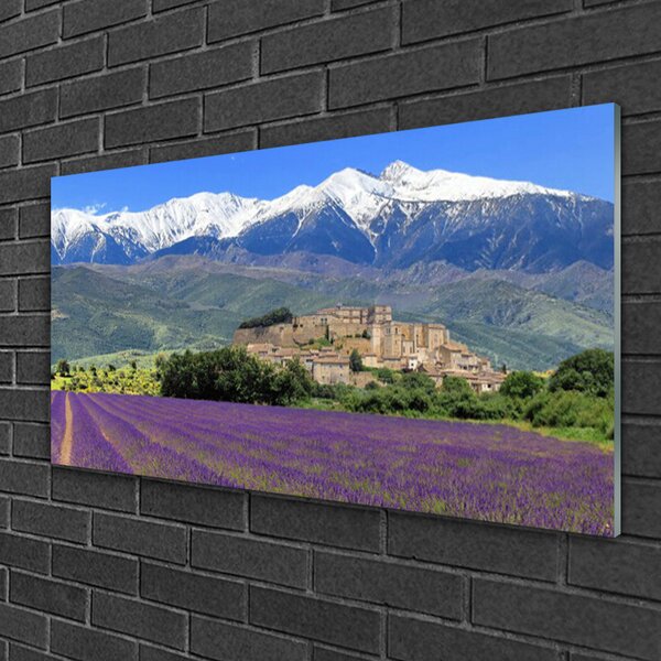 Quadro su vetro Prato Fiori Paesaggio di montagna 100x50 cm 2 appendini