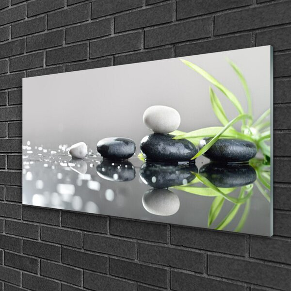 Quadro vetro Pietre termali in erba Zen 100x50 cm 2 appendini