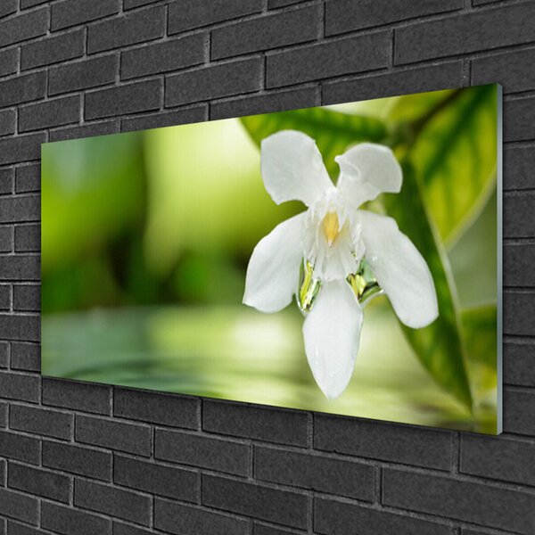 Quadro di vetro Foglie di fiori 100x50 cm 2 appendini
