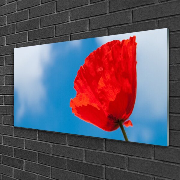 Quadro su vetro Muro di tulipani 100x50 cm 2 appendini