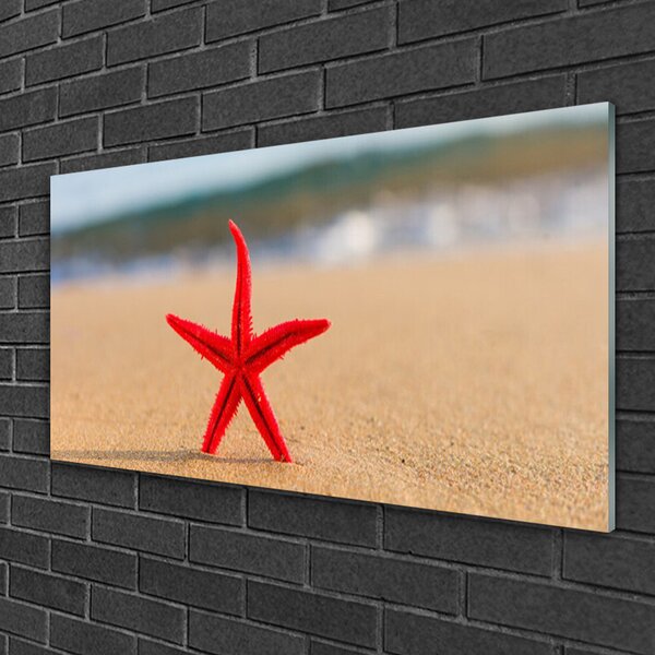 Quadro in vetro Arte della stella marina in spiaggia 100x50 cm 2 appendini