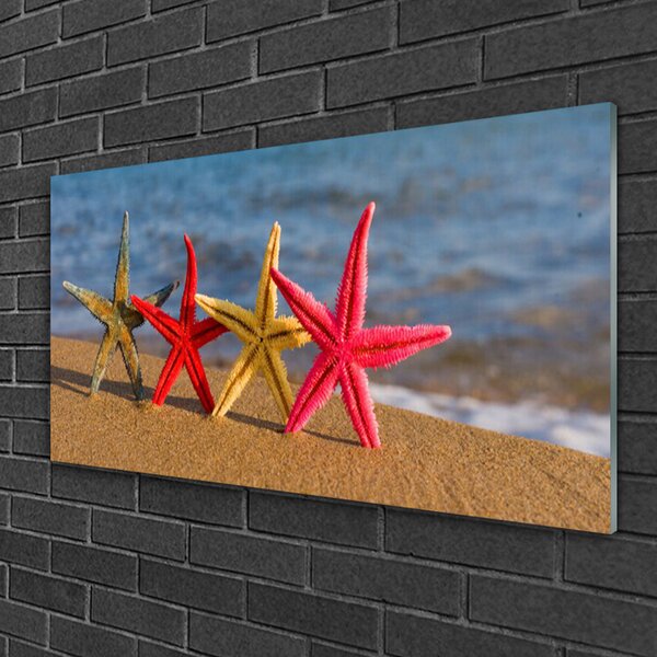 Quadro su vetro Arte della stella marina in spiaggia 100x50 cm 2 appendini