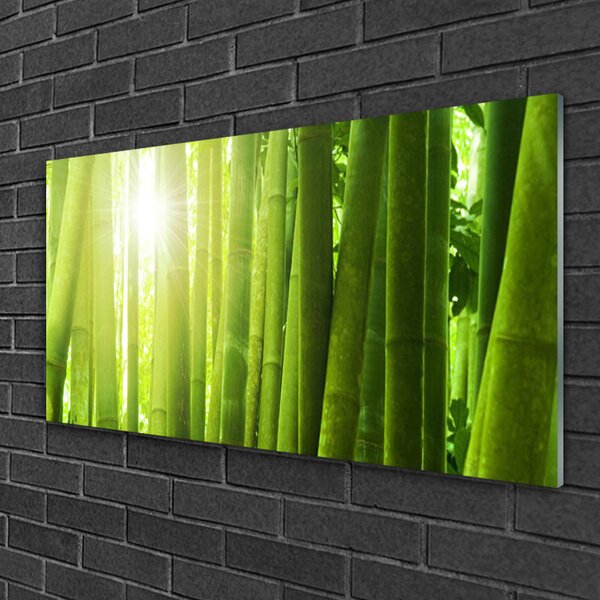 Quadro vetro Pianta di bambù 100x50 cm 2 appendini