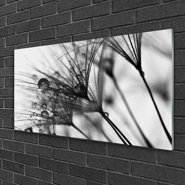 Quadro in vetro Grafica vegetale astratta 100x50 cm 2 appendini