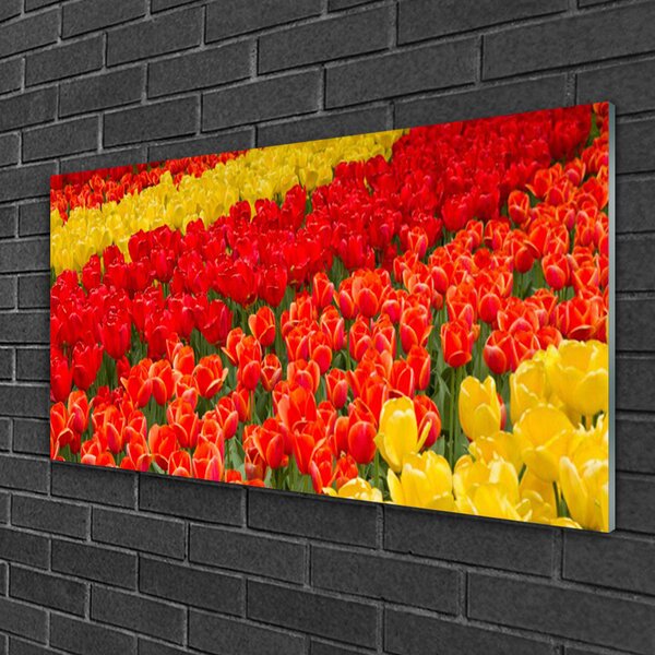 Quadro vetro Fiori di tulipani 100x50 cm 2 appendini