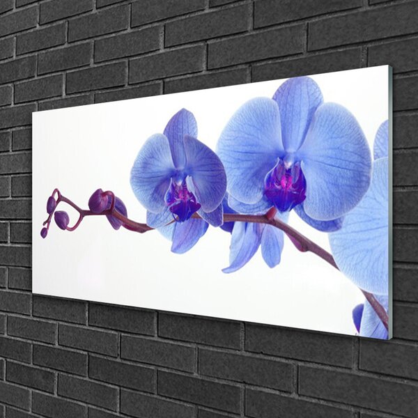 Quadro in vetro Pianta di fiori 100x50 cm 2 appendini