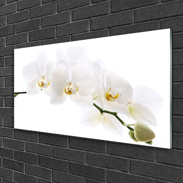 Quadro su vetro Fiori di orchidea 100x50 cm 2 appendini