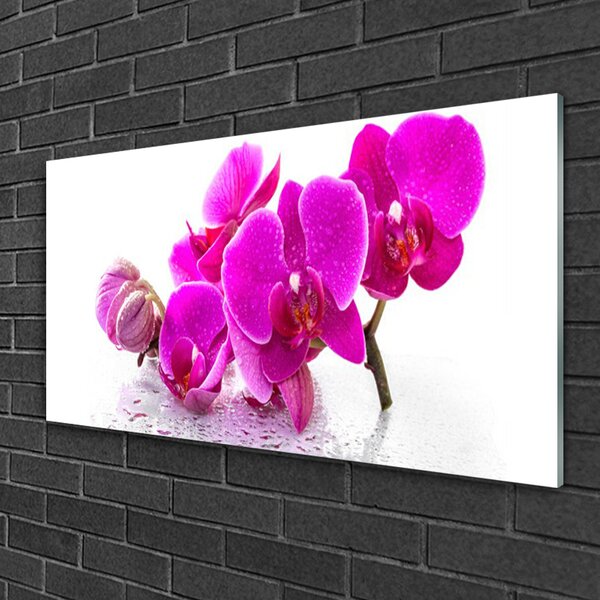 Quadro vetro Fiori di viola del pensiero 100x50 cm 2 appendini