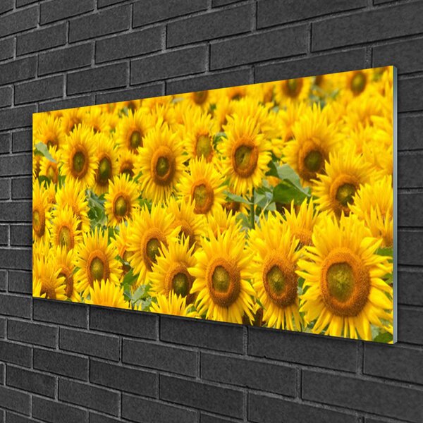 Quadro in vetro Pianta di girasole Natura 100x50 cm 2 appendini