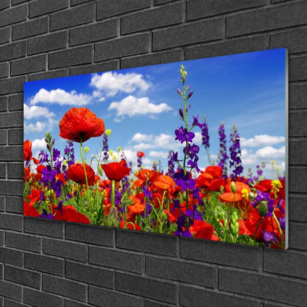 Quadro su vetro Pianta di tulipani 100x50 cm 2 appendini