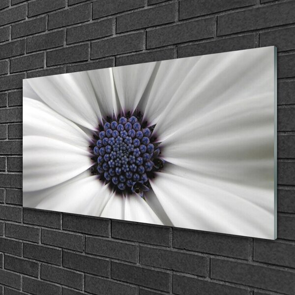 Quadro vetro Pianta di fiori 100x50 cm 2 appendini