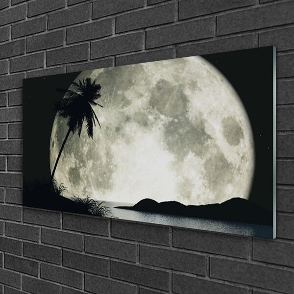 Quadro in vetro Luna notturna Palm Landscape 100x50 cm 2 appendini