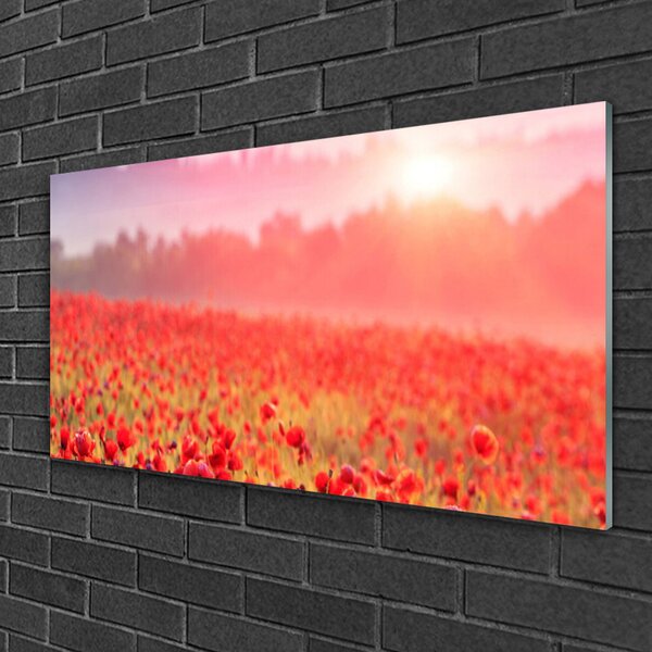 Quadro vetro Prato Fiori Natura Pianta 100x50 cm 2 appendini