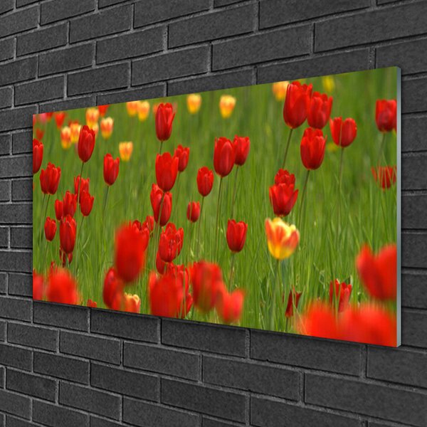 Quadro in vetro Pianta di tulipani 100x50 cm 2 appendini