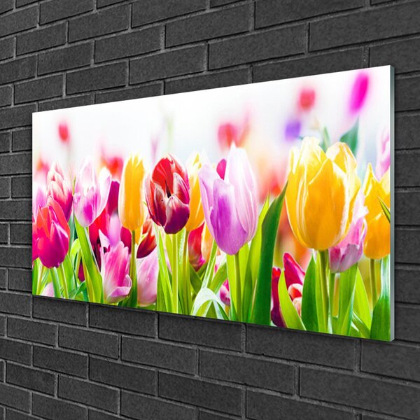 Quadro su vetro Fiori di tulipani 100x50 cm 2 appendini
