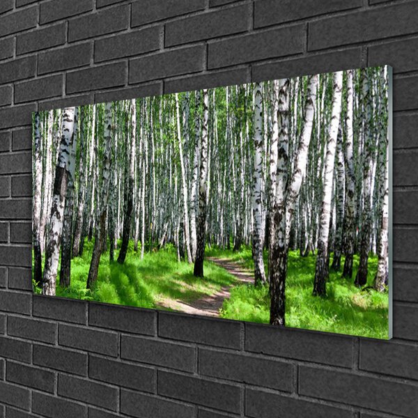 Quadro vetro Alberi Erba Natura 100x50 cm 2 appendini
