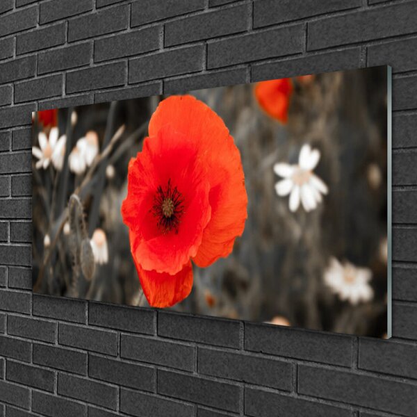 Quadro in vetro Pianta di fiori 100x50 cm 2 appendini