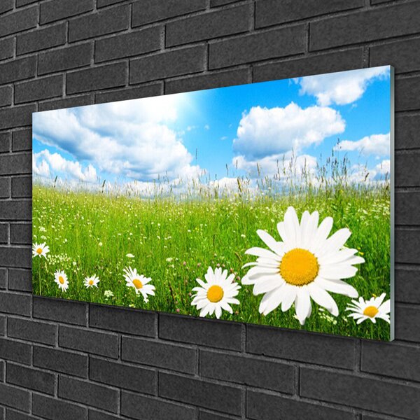 Quadro di vetro Margherita Erba Natura 100x50 cm 2 appendini