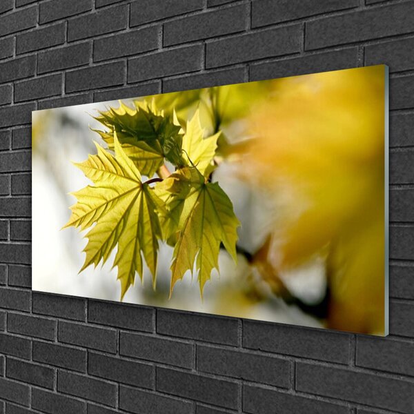 Quadro vetro Foglie Impianto 100x50 cm 2 appendini