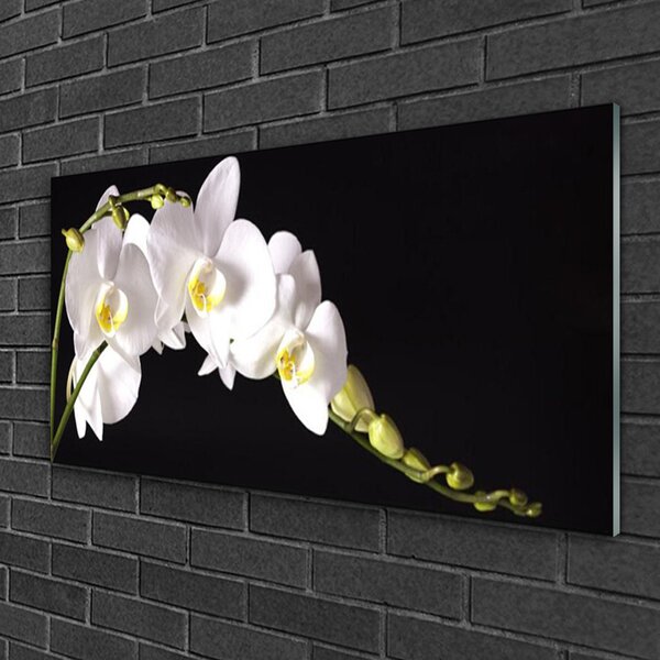 Quadro vetro Pianta di fiori 100x50 cm 2 appendini