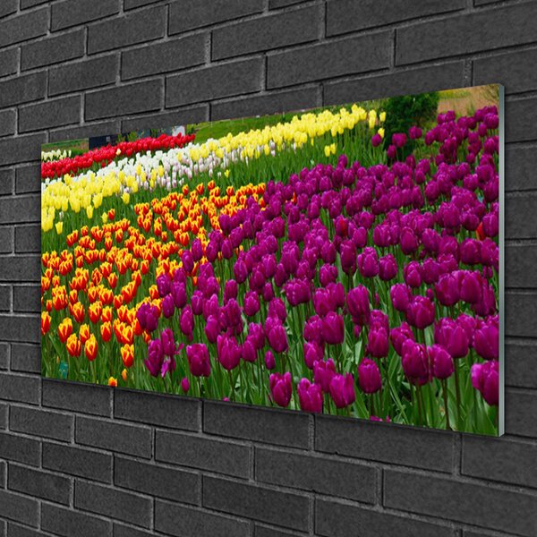 Quadro in vetro Fiori di tulipani 100x50 cm 2 appendini