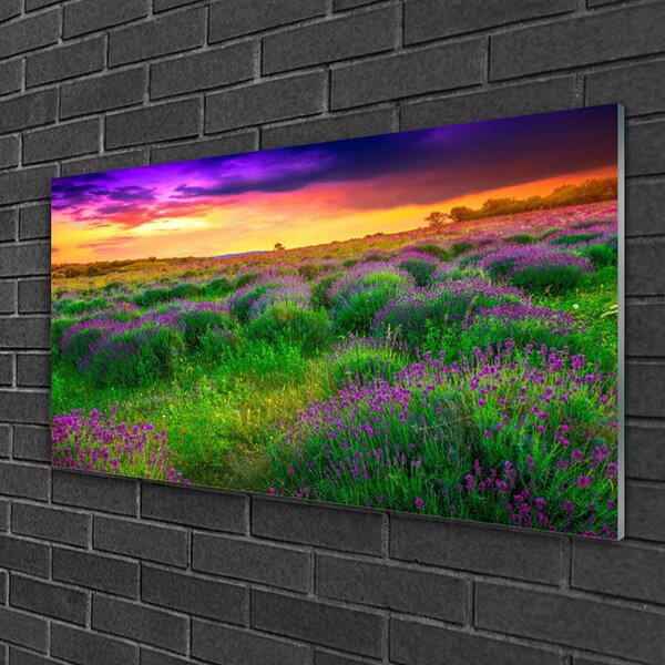 Quadro vetro Prato naturale 100x50 cm 2 appendini