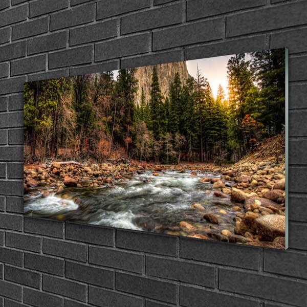 Quadro di vetro Lago Forestale Natura Acqua 100x50 cm 2 appendini