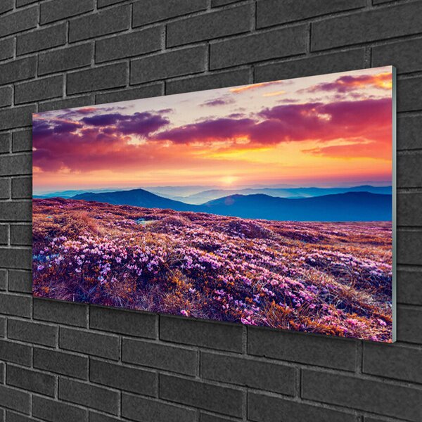 Quadro in vetro Prato Montagna Natura Fiori 100x50 cm 2 appendini