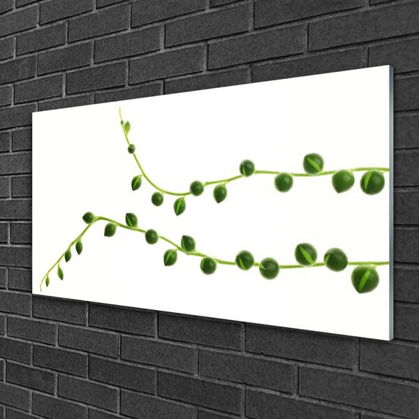 Quadro in vetro Pianta ornamentale 100x50 cm 2 appendini