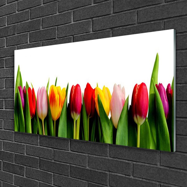 Quadro in vetro Pianta di tulipani 100x50 cm 2 appendini