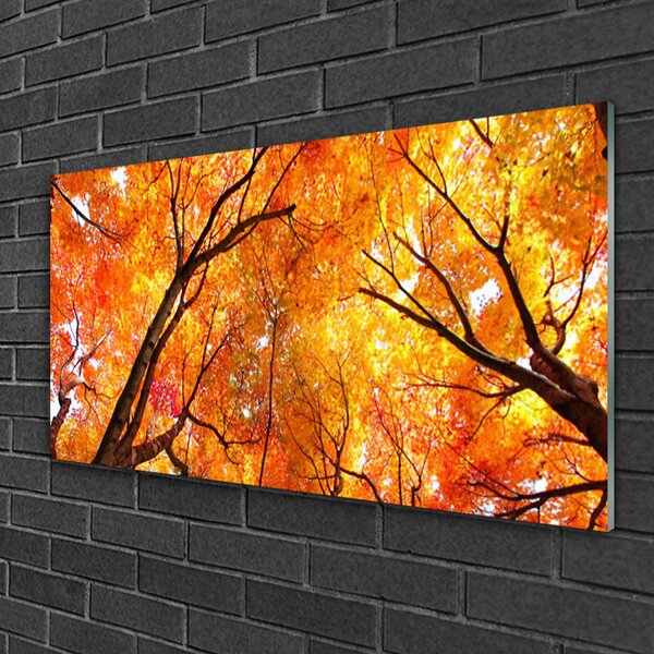Quadro in vetro Alberi della natura 100x50 cm 2 appendini