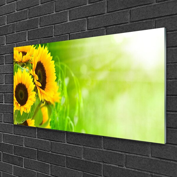 Quadro di vetro Pianta di girasoli 100x50 cm 2 appendini