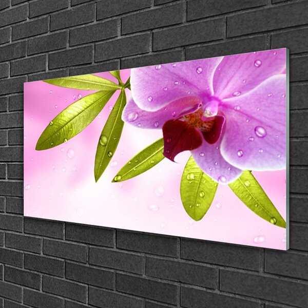 Quadro in vetro Pianta a foglia di fiore 100x50 cm 2 appendini