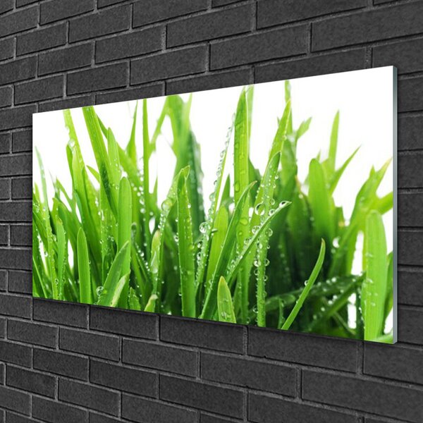 Quadro di vetro Pianta d'erba 100x50 cm 2 appendini