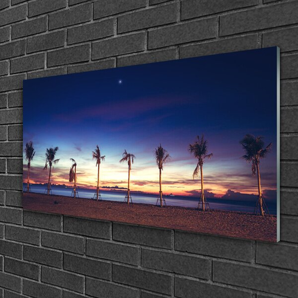 Quadro su vetro Palm Tree Sea Landscape 100x50 cm 2 appendini