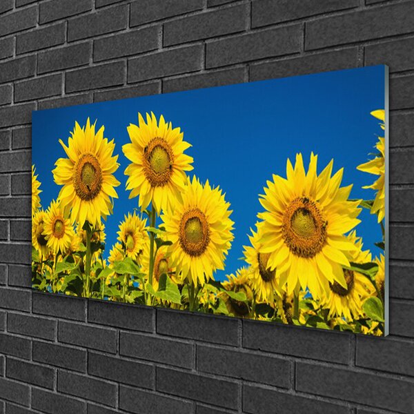 Quadro in vetro Pianta di girasoli 100x50 cm 2 appendini