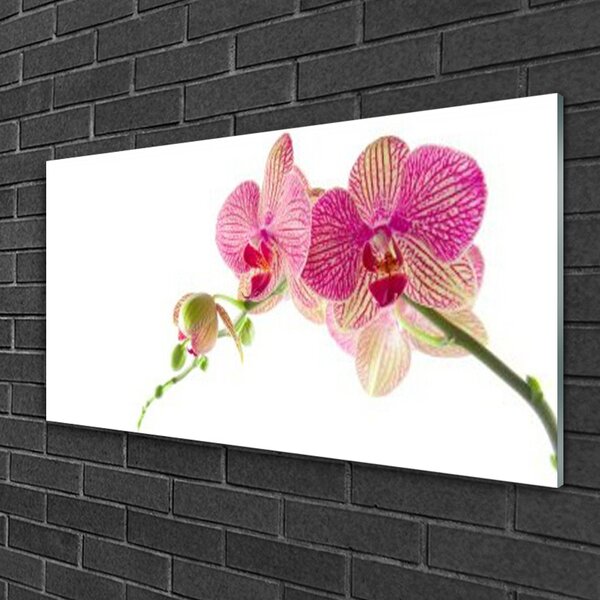 Quadro in vetro Pianta di fiori 100x50 cm 2 appendini