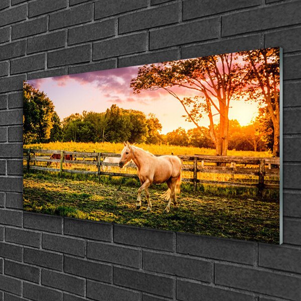 Quadro in vetro Cavallo Prato Animali Natura 100x50 cm 2 appendini