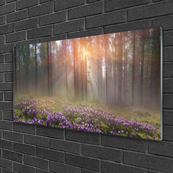 Quadro vetro Foresta Fiori Pianta Natura 100x50 cm 2 appendini