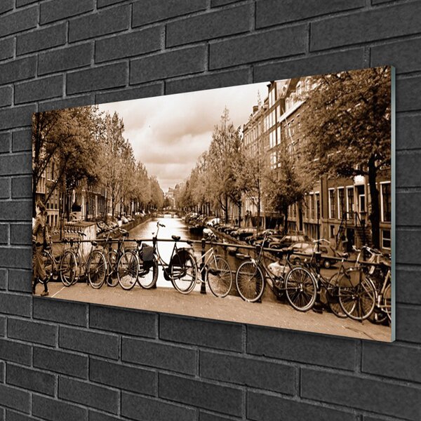 Quadro su vetro Fiume Bici Alberi Paesaggio 100x50 cm 2 appendini