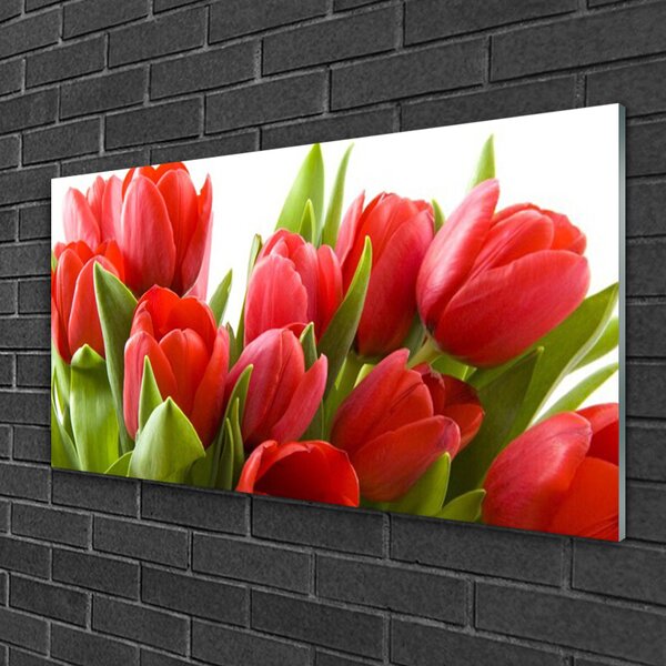 Quadro in vetro Tulipani Fiori Pianta 100x50 cm 2 appendini