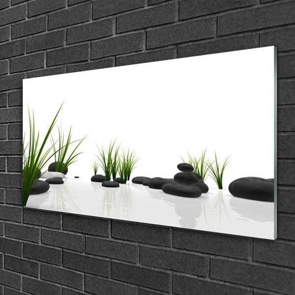 Quadro di vetro Pietre Erba Arte 100x50 cm 2 appendini