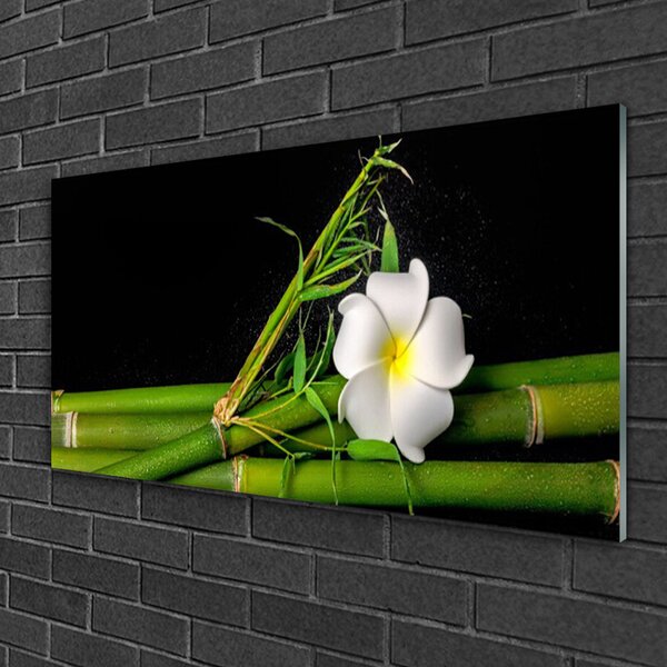 Quadro su vetro Pianta di fiori di bambù 100x50 cm 2 appendini