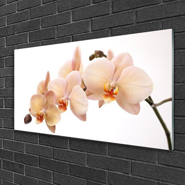 Quadro vetro Pianta di fiori 100x50 cm 2 appendini