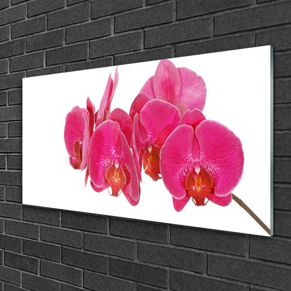 Quadro in vetro Pianta di fiori 100x50 cm 2 appendini