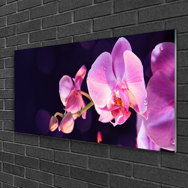 Quadro in vetro Pianta di fiori 100x50 cm 2 appendini