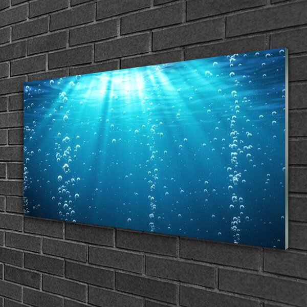 Quadro in vetro Arte dell'acqua 100x50 cm 2 appendini