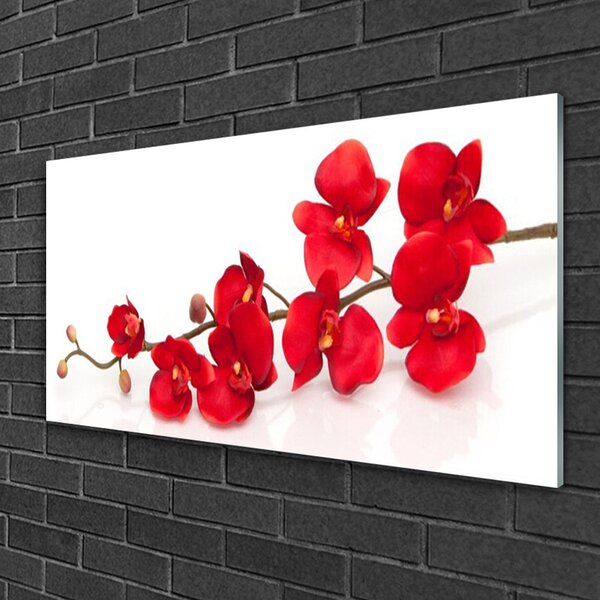 Quadro di vetro Pianta di fiori 100x50 cm 2 appendini