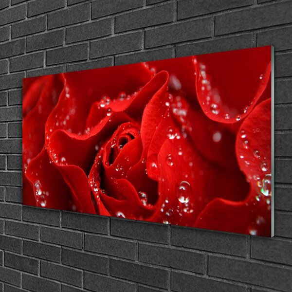 Quadro su vetro Fiore di rosa pianta naturale 100x50 cm 2 appendini